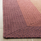 Safavieh Braided BRD165 Rug