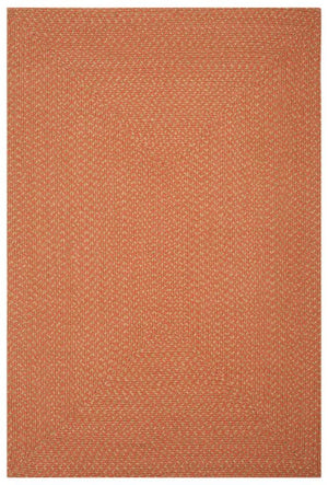 Safavieh Braided BRD168 Rug