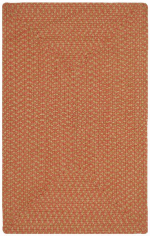 Safavieh Brd168 Hand Woven Cotton Rug BRD168A-3OV