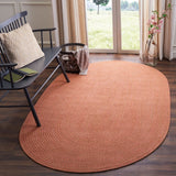 Safavieh Brd168 Hand Woven Cotton Rug BRD168A-3OV