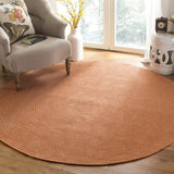 Safavieh Braided BRD168 Rug