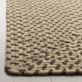 Safavieh Braided BRD173 Rug