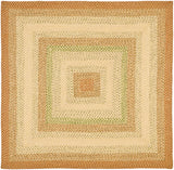 Safavieh Brd303 Hand Woven Polypropylene Rug BRD303A-9SQ