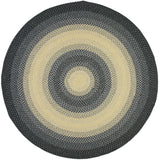 Brd311 Hand Woven Polypropylene Rug