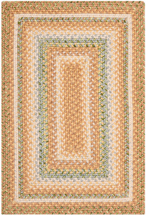 Safavieh Brd314 Hand Woven Polypropylene Rug BRD314A-4R