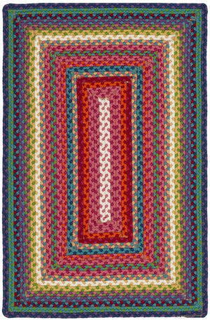 Safavieh Braided 316 Hand Woven Polypropylene Rug BRD316A-4R