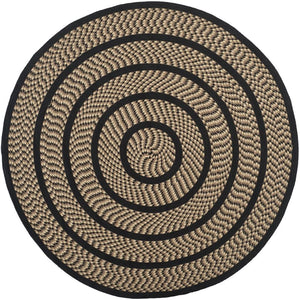 Safavieh Braided Reversible Hand Woven Reversible Polypropylene Rug BRD401G-8R