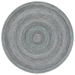 Safavieh Braided 804 Hand Woven Polyester Rug BRD804Y-6R