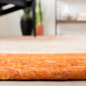 Safavieh Braided 904 Hand Woven 60% Wool, 40% Cotton Rug BRD904P-6R