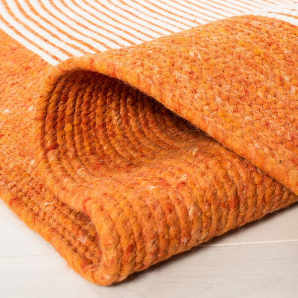 Safavieh Braided 904 Hand Woven 60% Wool, 40% Cotton Rug BRD904P-6R