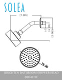 Brighten Shower Head Stainless Steel Single Setting  7.2"X3.1"X2.4" 