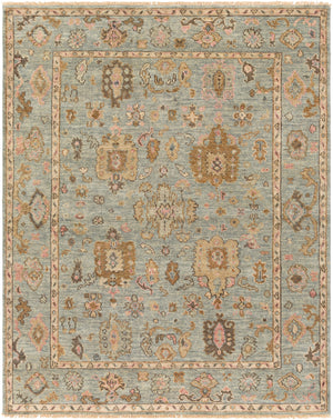 Biscayne BSY-2305 Traditional NZ Wool Rug BSY2305-913 Beige, Dark Green, Camel, Rose 100% NZ Wool 9' x 13'