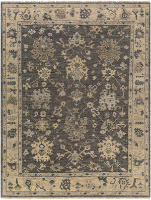 Biscayne BSY-2307 Traditional NZ Wool Rug BSY2307-810 Charcoal, Butter, Light Gray, Dark Blue, Sage 100% NZ Wool 8' x 10'