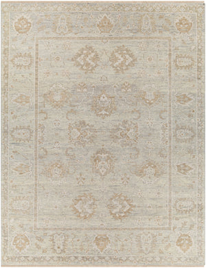 Biscayne BSY-2313 Traditional NZ Wool Rug BSY2313-913 Light Gray, Tan, Medium Gray 100% NZ Wool 9' x 13'