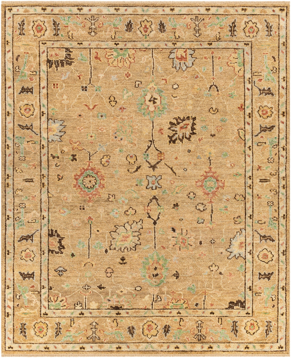 Biscayne BSY-2314 Traditional NZ Wool Rug BSY2314-913 Khaki, Dark Brown, Butter, Rose, Mint, Pale Blue, Ivory 100% NZ Wool 9' x 13'