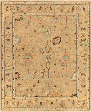 Biscayne BSY-2314 Traditional NZ Wool Rug BSY2314-913 Khaki, Dark Brown, Butter, Rose, Mint, Pale Blue, Ivory 100% NZ Wool 9' x 13'