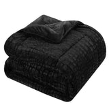 Alligator Black Queen 3pc Comforter Set