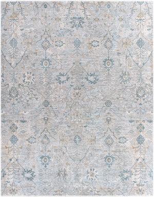 Brunswick BWK-2315 Traditional Polyester, Polypropylene Rug BWK2315-710103 Sage, Beige, Khaki, Denim, Medium Gray 50% Polyester, 50% Polypropylene 7'10" x 10'3"