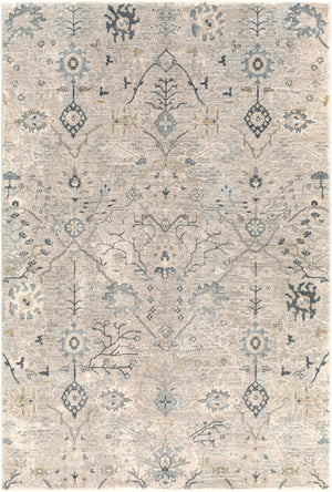 Brunswick BWK-2316 Traditional Polyester, Polypropylene Rug BWK2316-710RD Sage, Khaki, Beige, Ivory, Denim, Dark Green 50% Polyester, 50% Polypropylene 7'10" Round