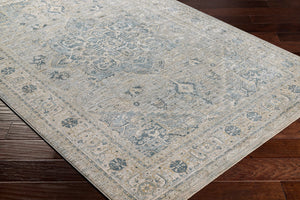 Surya Brunswick Traditional BWK-2319 Rug BWK2319-9122
