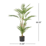 Troup 5.5' x 3.5' Artificial Palm Tree, Green Noble House