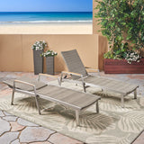 Oxton Outdoor Wicker and Aluminum Chaise Lounges, Gray Finish Noble House