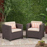 Waverly Outdoor Wicker Print Club Chair with Cushions, Dark Brown and Beige Noble House