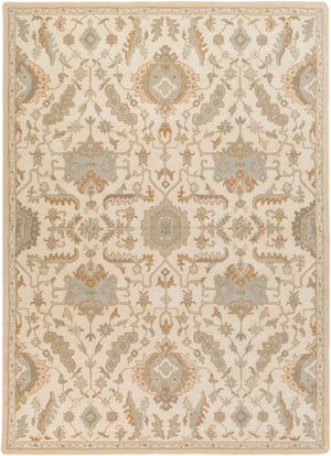 Caesar CAE-1166 Traditional Wool Rug CAE1166-811 Beige, Tan, Taupe 100% Wool 8' x 11'