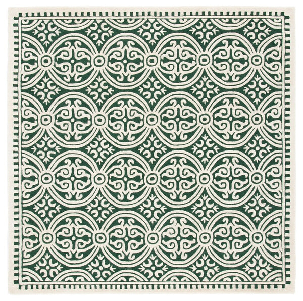 Safavieh Cambridge 123 Hand Tufted 100% Wool Pile Rug CAM123Y-9