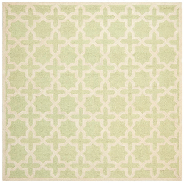 Safavieh Cambridge CAM125 Hand Tufted Rug