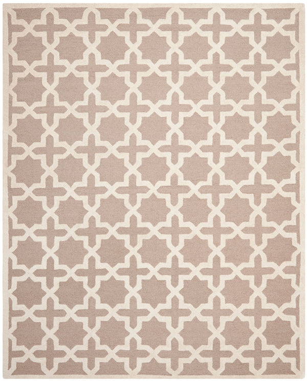 Safavieh Cambridge 125 Hand Tufted Wool Rug CAM125J-4SQ