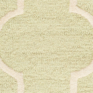Safavieh Cambridge CAM134 Hand Tufted Rug