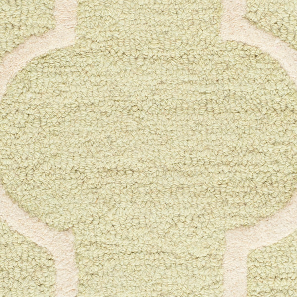Safavieh Cambridge CAM134 Hand Tufted Rug
