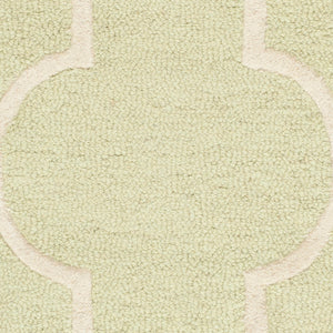 Safavieh Cambridge CAM134 Hand Tufted Rug