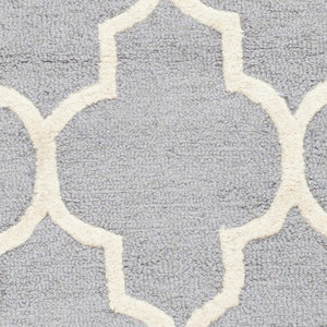 Safavieh Cambridge CAM134 Hand Tufted Rug