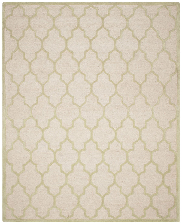Safavieh Cambridge 134 Hand Tufted Wool Rug CAM134N-28