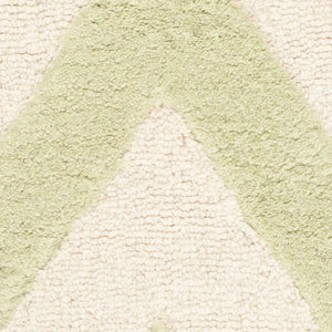 Safavieh Cambridge CAM139 Hand Tufted Rug