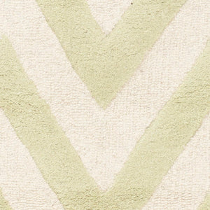 Safavieh Cambridge CAM139 Hand Tufted Rug