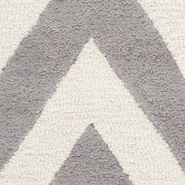 Safavieh Cambridge CAM139 Hand Tufted Rug