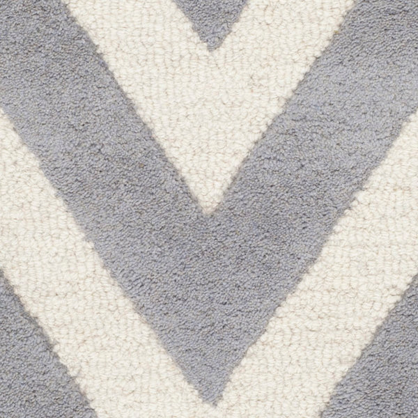 Safavieh Cambridge CAM139 Hand Tufted Rug