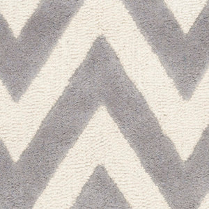 Safavieh Cambridge CAM139 Hand Tufted Rug
