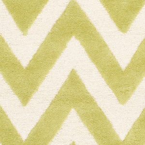 Safavieh Cambridge CAM139 Hand Tufted Rug