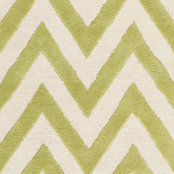 Safavieh Cambridge CAM139 Hand Tufted Rug