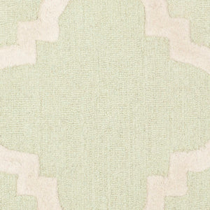 Safavieh Cambridge CAM140 Hand Tufted Rug