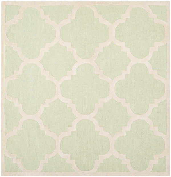 Safavieh Cambridge CAM140 Hand Tufted Rug