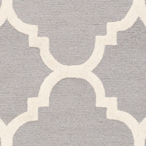 Safavieh Cambridge CAM140 Hand Tufted Rug