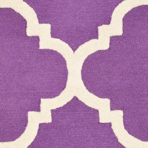Safavieh Cambridge CAM140 Hand Tufted Rug