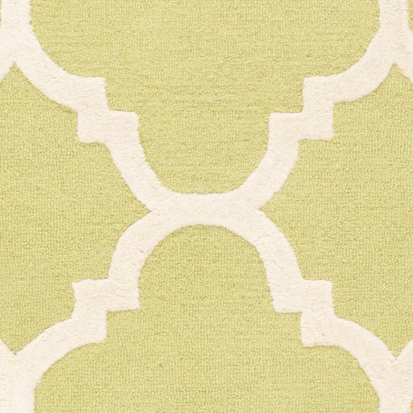 Safavieh Cambridge CAM140 Hand Tufted Rug