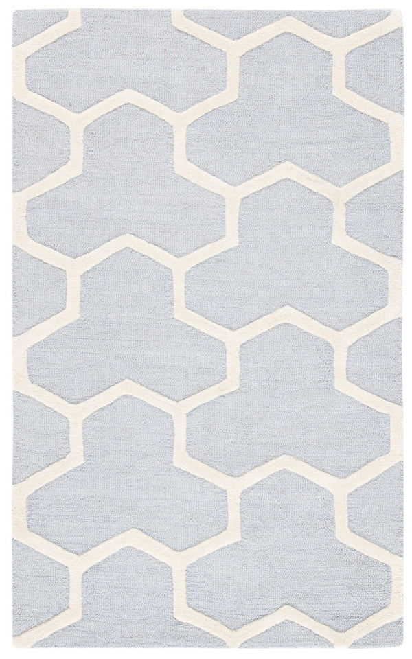 Safavieh Cambridge 146 Hand Tufted Wool Rug CAM146A-3