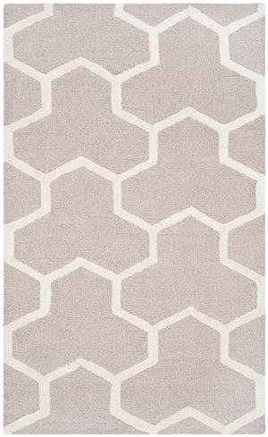 Safavieh Cambridge 146 Hand Tufted Wool Rug CAM146J-3